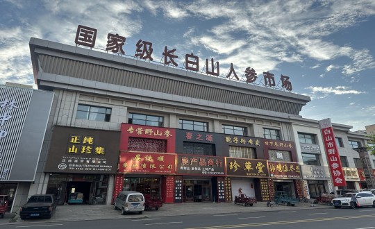 23.药业公司深刻人参市场调查调研_副本.jpg