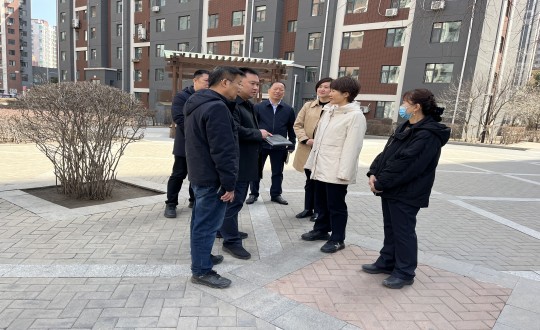 7.长春市向阳区区长鲁晓光一行莅临EBET易博?南湖第宅幼区参观领导_副本.jpg