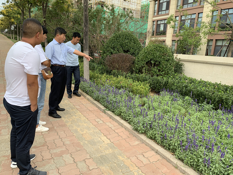 20.园林公司赴威５鞑橐计纺仙较钅.jpg