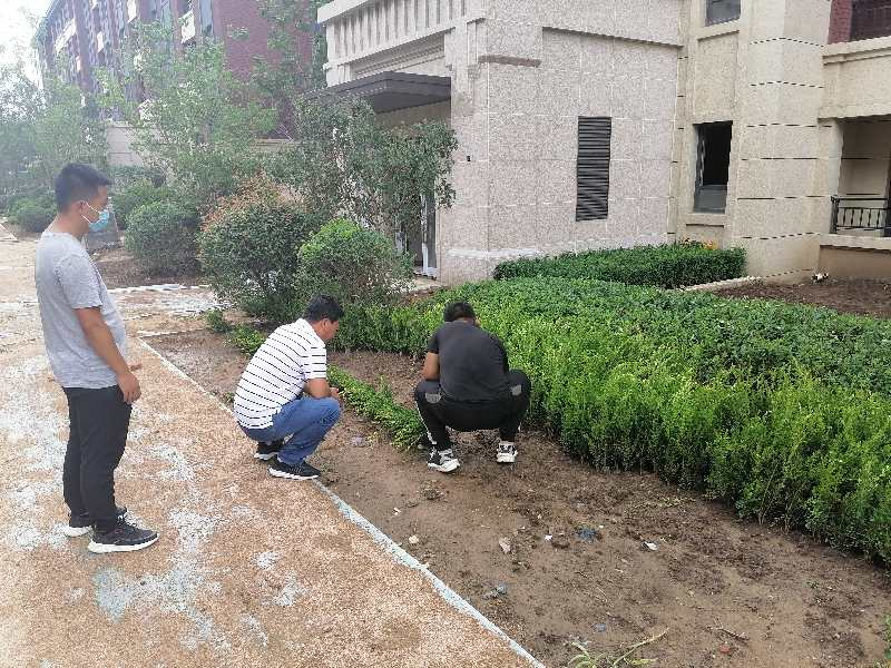 020牛树威总经理带队参观调查_副本.jpg